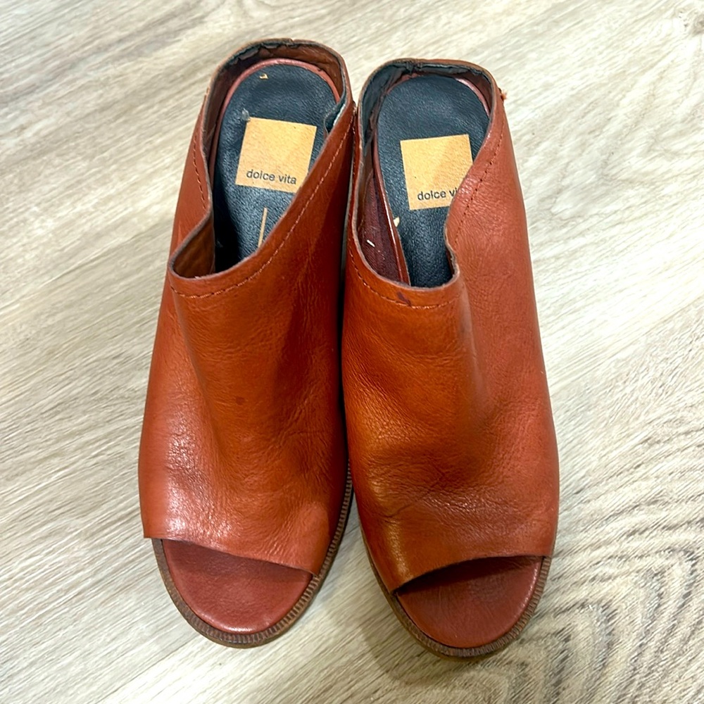 Brown Dolce Vita Heels (Open Toe)